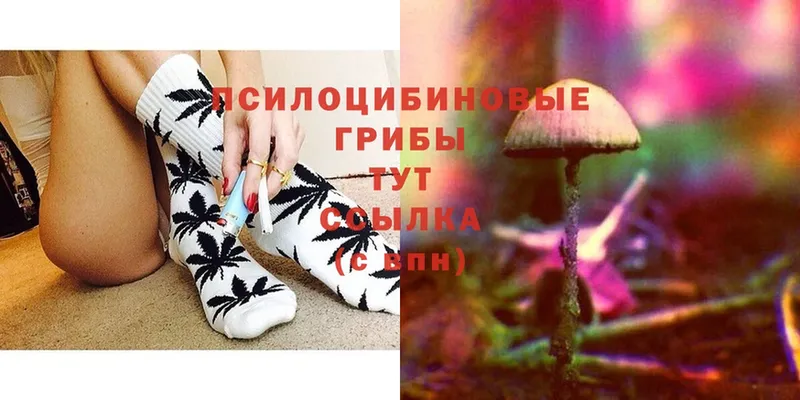 купить наркотики цена  Нижняя Тура  Псилоцибиновые грибы Magic Shrooms 